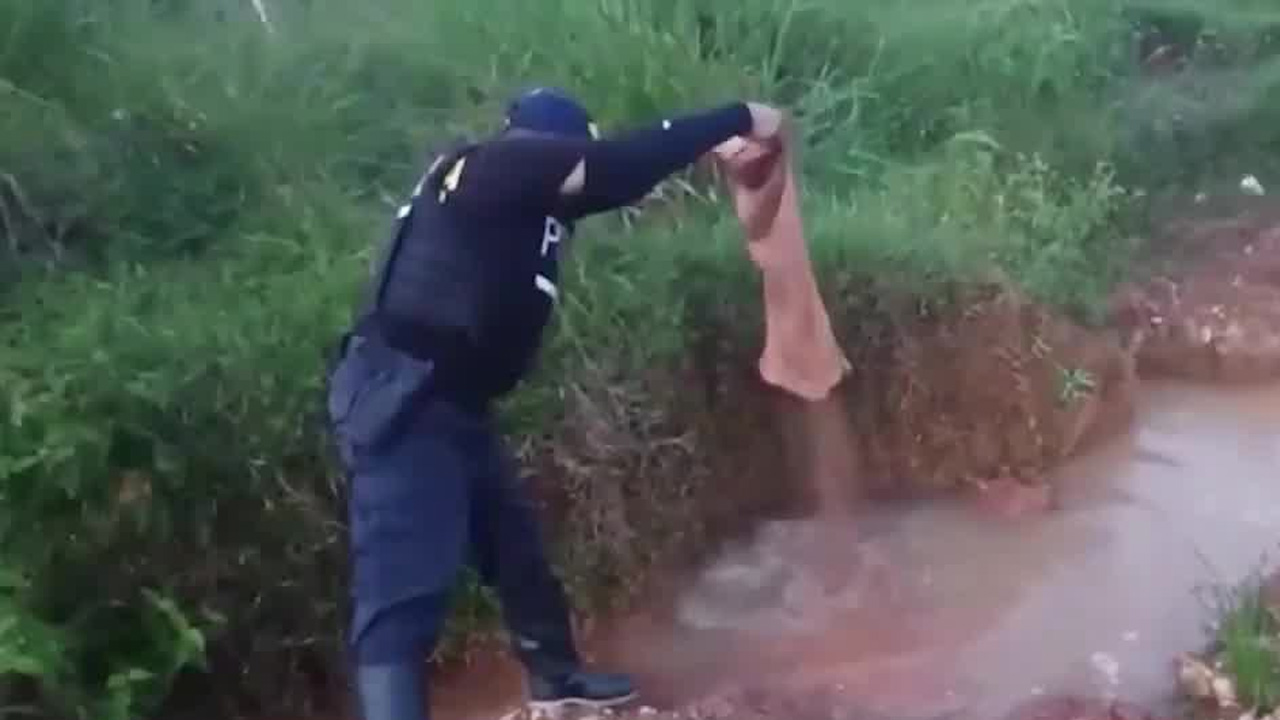 Instituciones respondieron a orden urgente en Crucitas