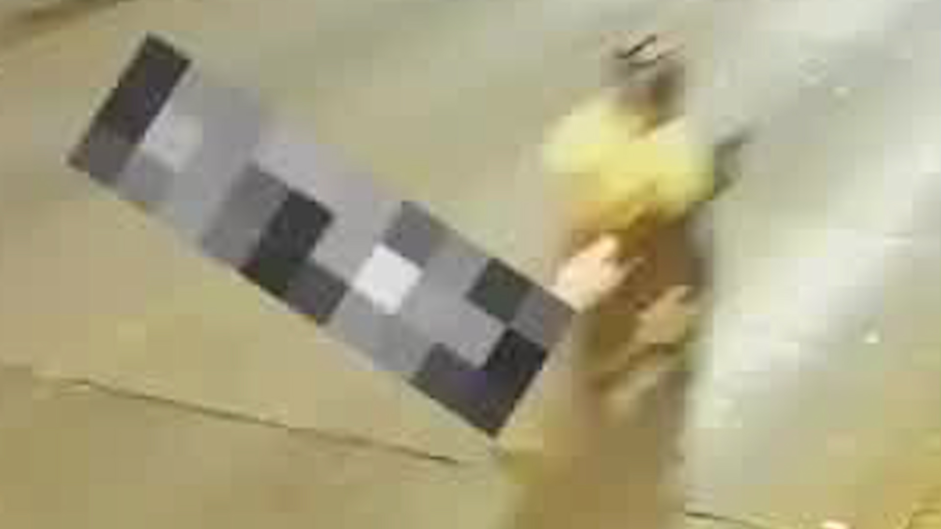 Motociclista atropelló a un gato en Escazú | VIDEO