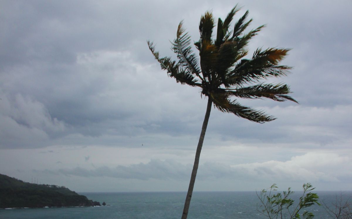 Vientos fuertes y lluvias débiles marcarán el clima de este lunes en Costa Rica. (Freepik)