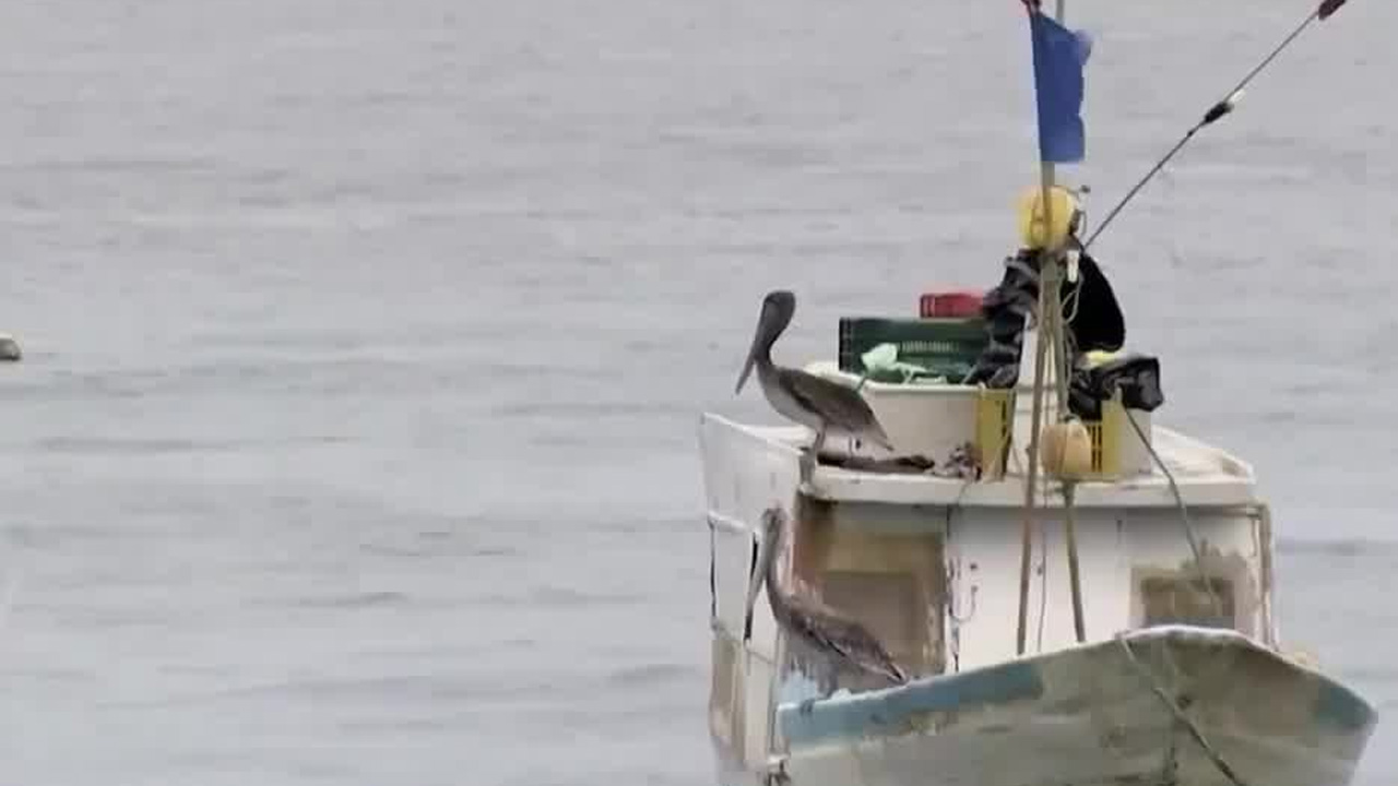 Acuerdo del ejecutivo con pesqueros