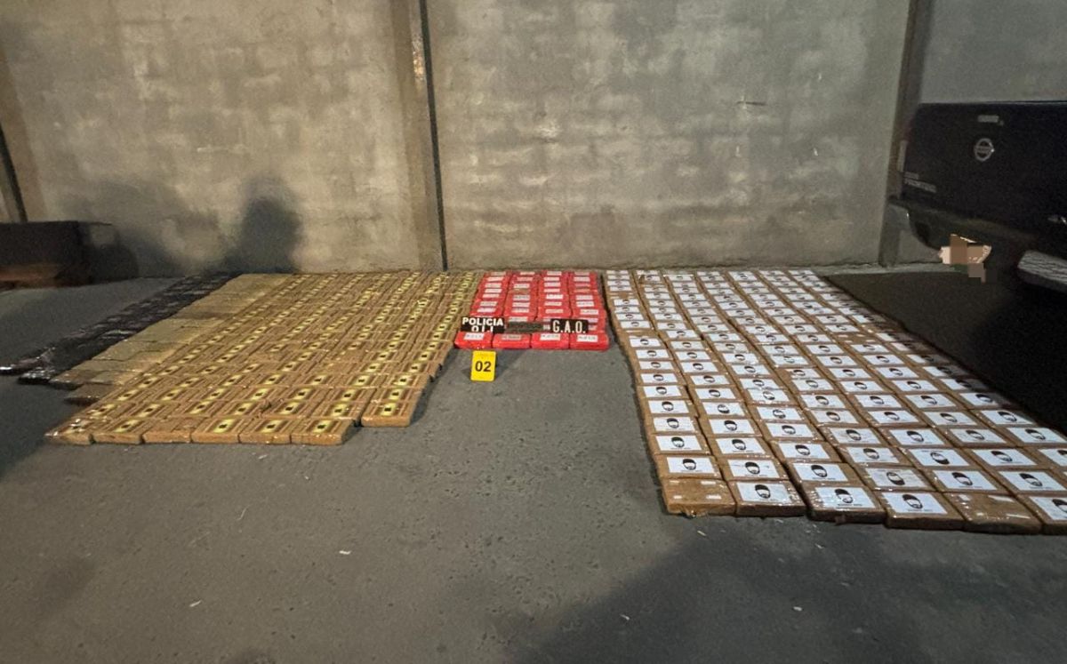 Decomisos de los agentes judiciales. (OIJ)