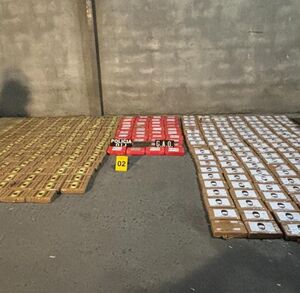 Decomisos de los agentes judiciales. (OIJ)