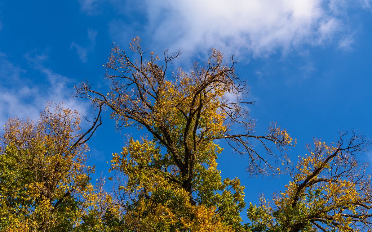 Disminución de presión atmosférica generará lluvias y tormentas este miércoles en el país. (Freepik)