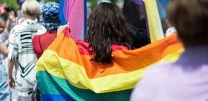 Costa Rica se retira de foro de la OEA sobre derechos de población LGBTIQ+. (Freepik)