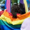 Costa Rica se retira de foro de la OEA sobre derechos de población LGBTIQ+. (Freepik)