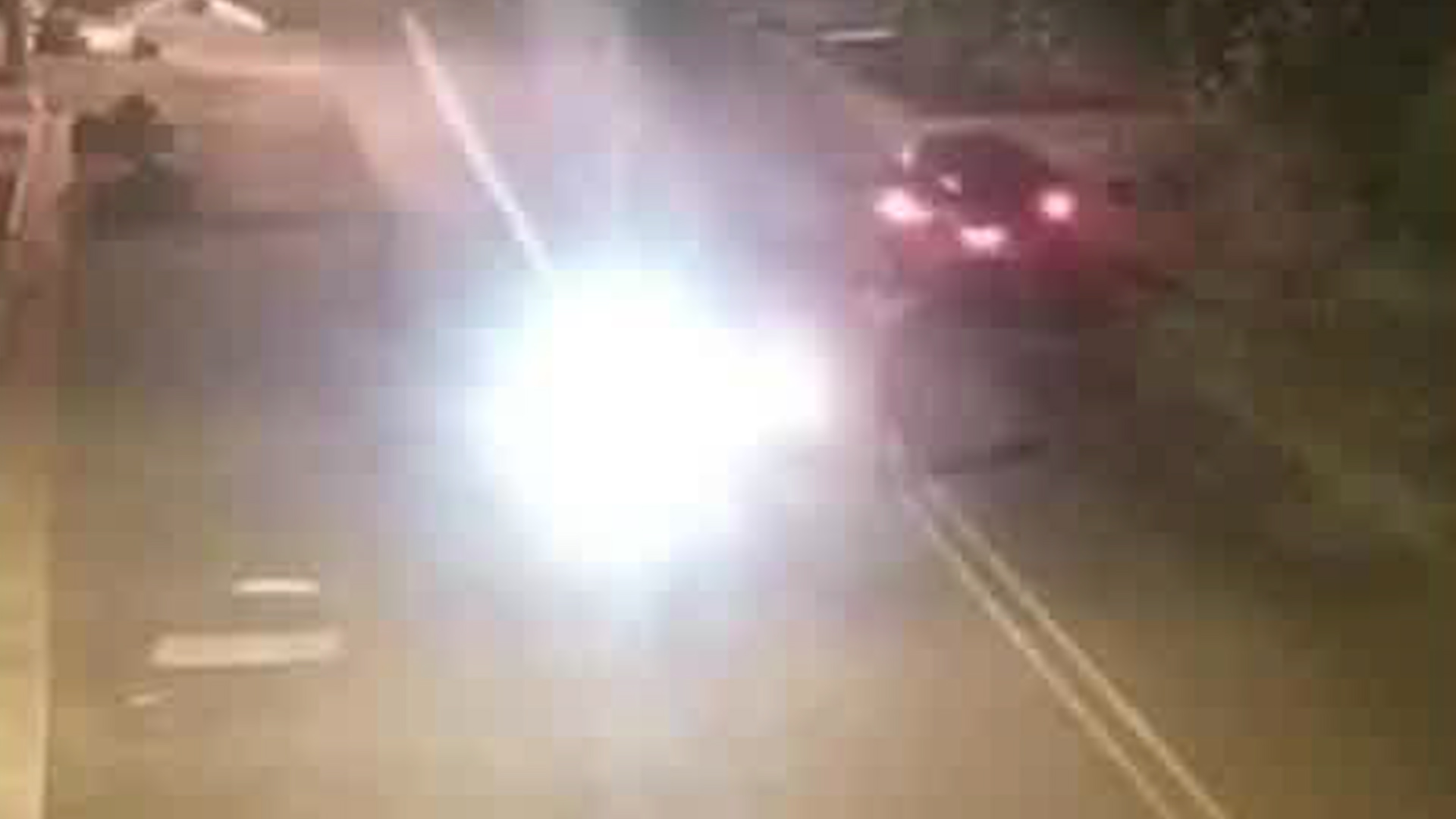 Atropello de fauna silvestre genera alarma | VIDEO