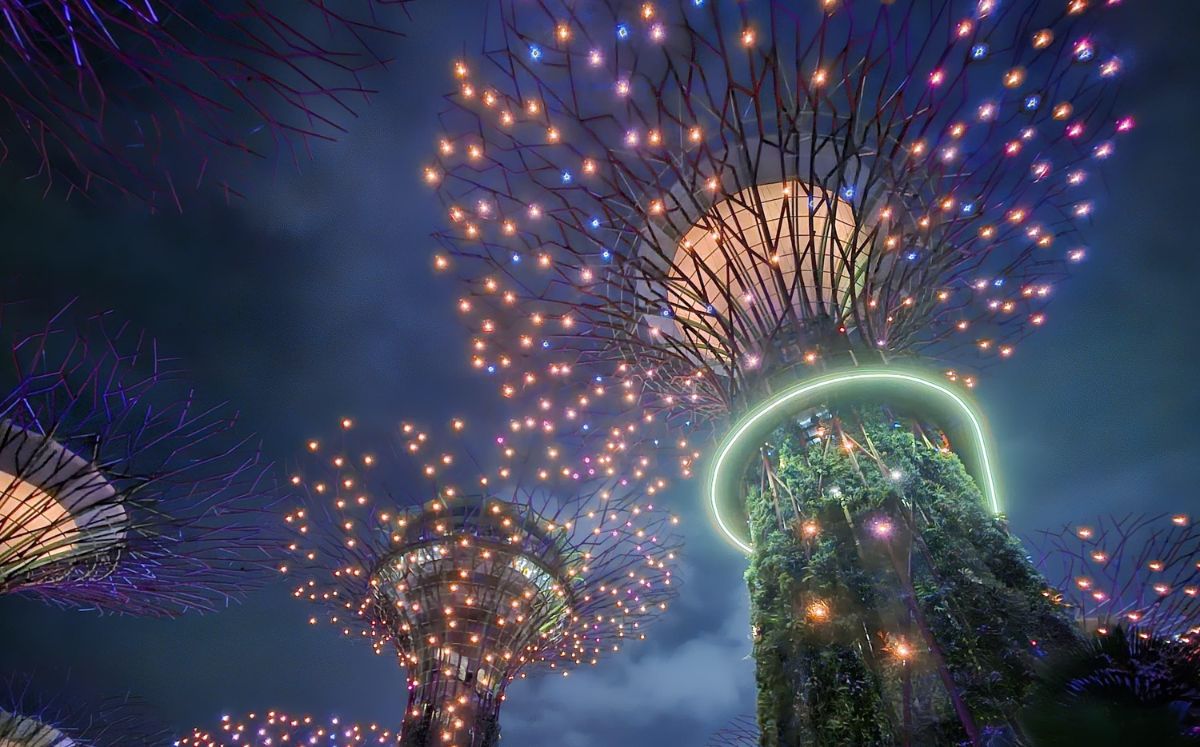 Esta experiencia es organizada por Excursiones Mundiales Viajeros del Sur.