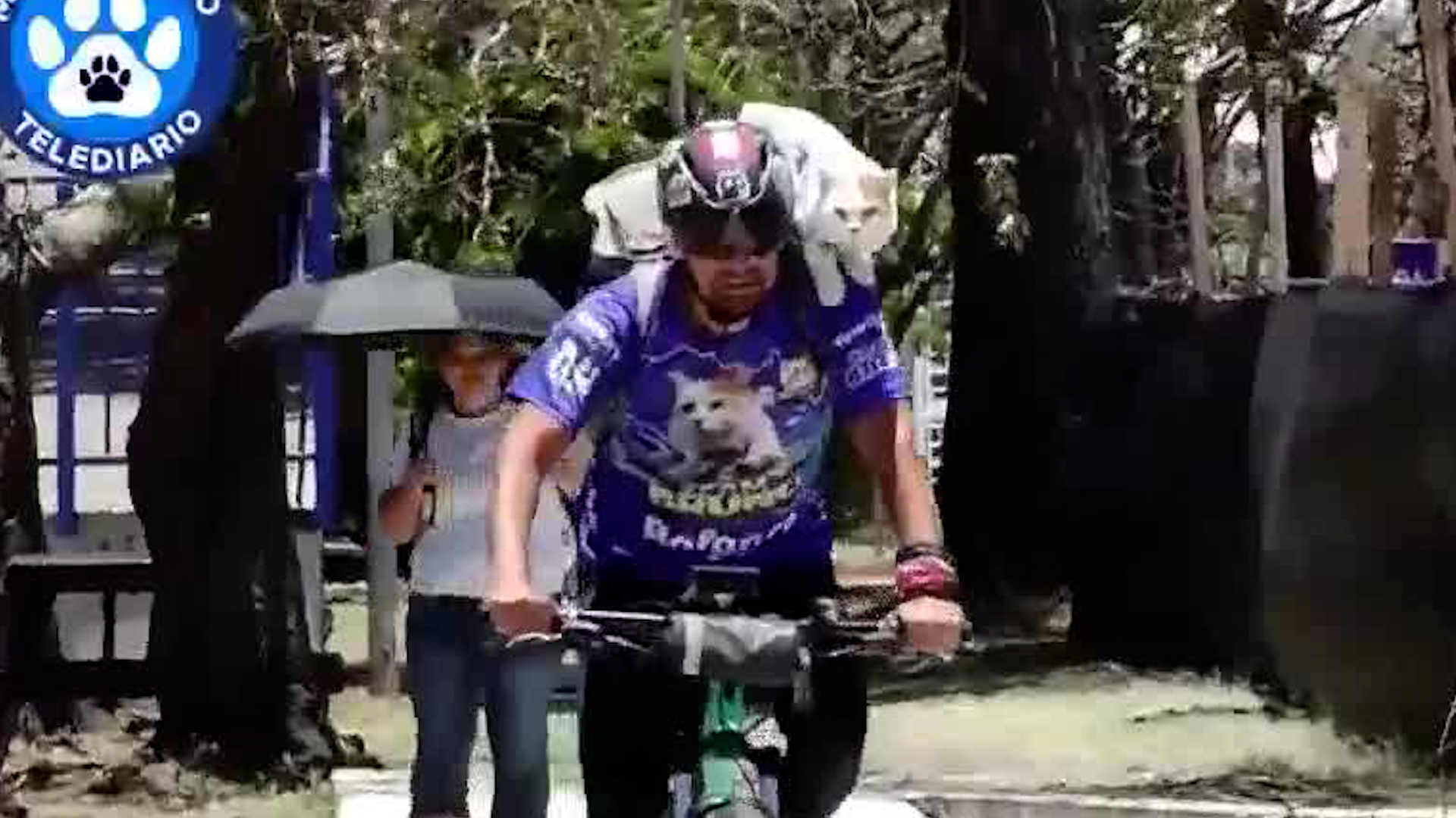 Él es Bruno, ‘el gato aventurero’