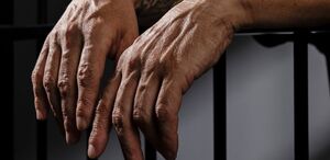 La petición será presentada ante el Juzgado Penal de Santa Cruz. (Freepik)