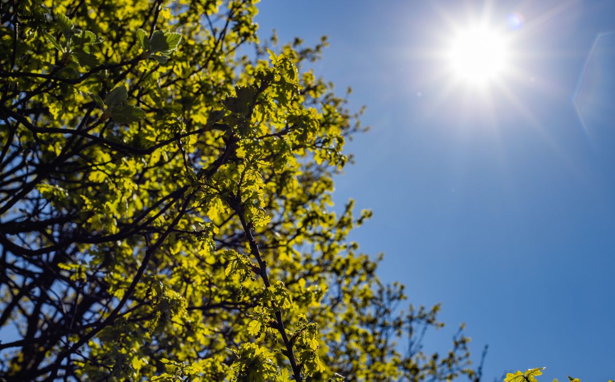 Vientos alisios fuertes persistirán este miércoles con lluvias en el sur del país. (Freepik)