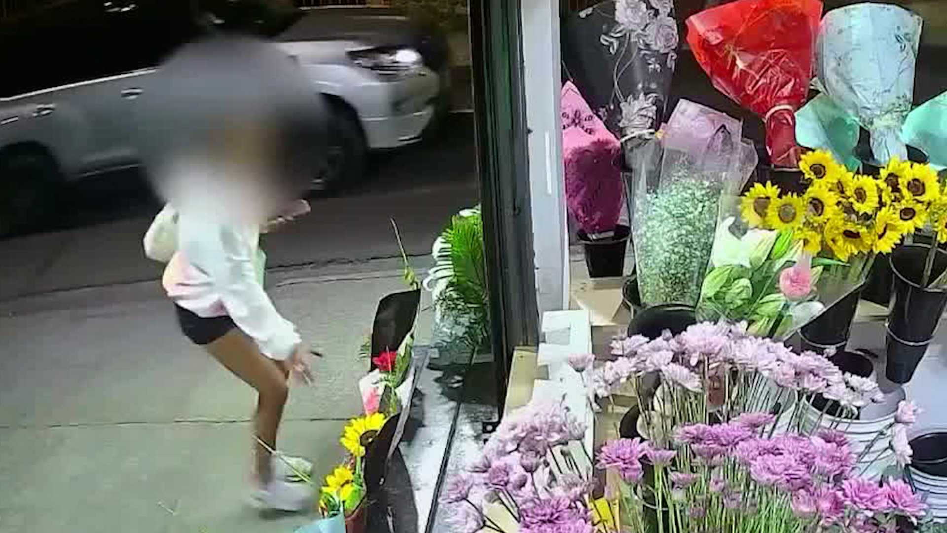 Banda sustrae arreglos florales en Desamparados | VIDEO