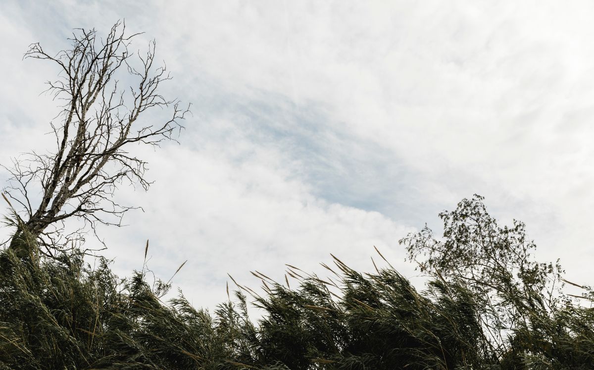 Aumento de lluvias y tormentas marcará el clima durante el fin de semana en el país.