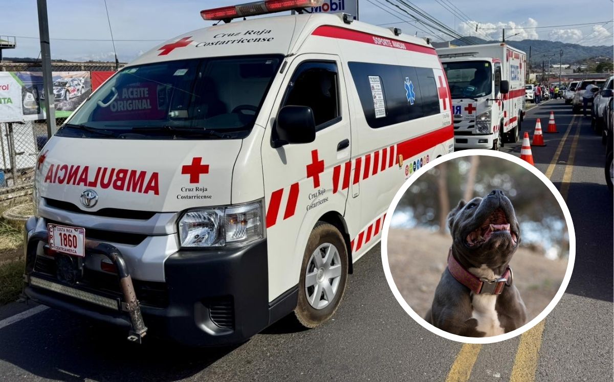 Cruz Roja y Bomberos atendieron la emergencia. (Cruz Roja)