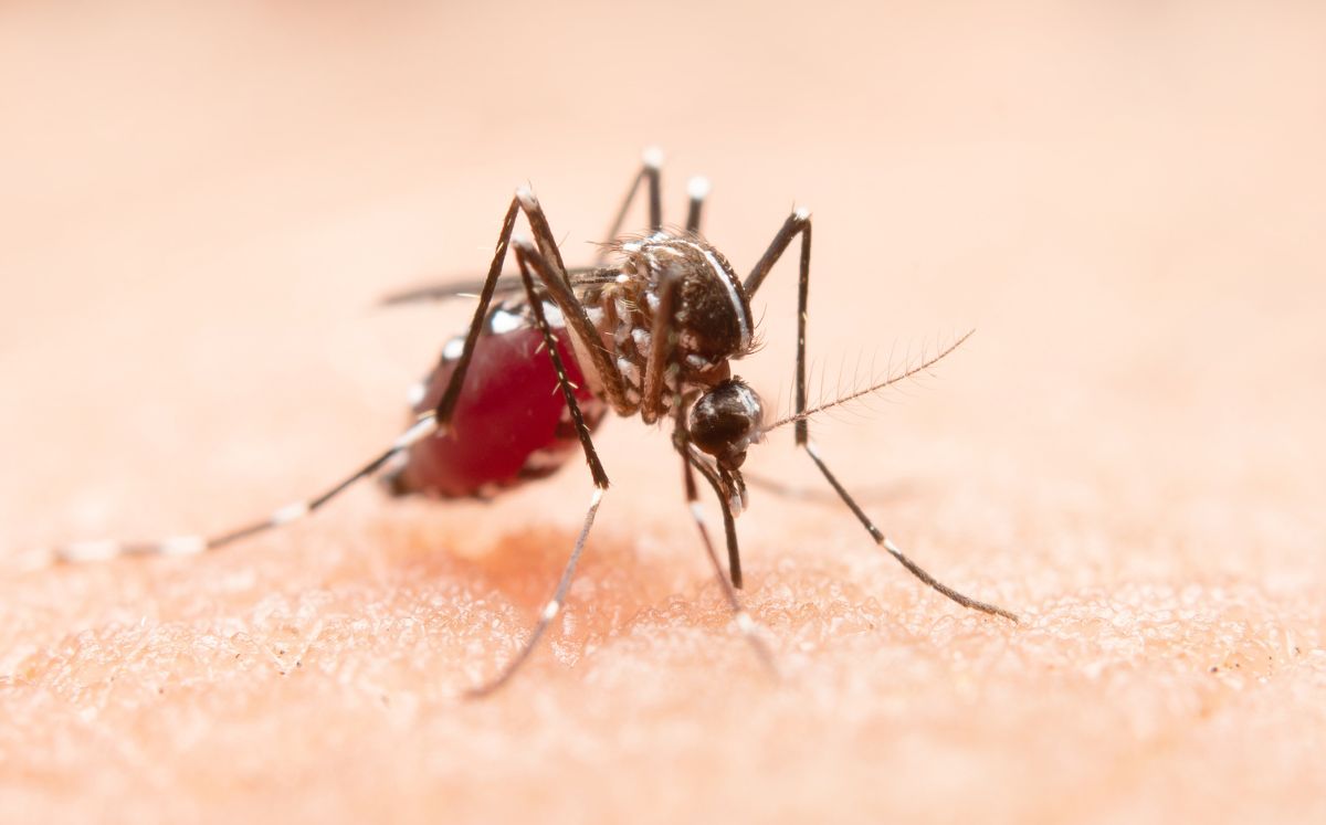 El caso corresponde a una mujer de 37 años.