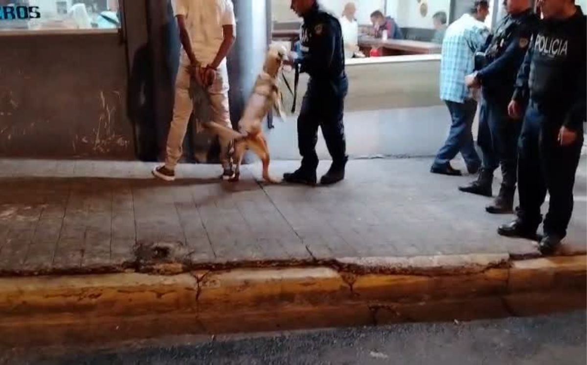 Oficiales realizaron operativo en San José. (MPS)