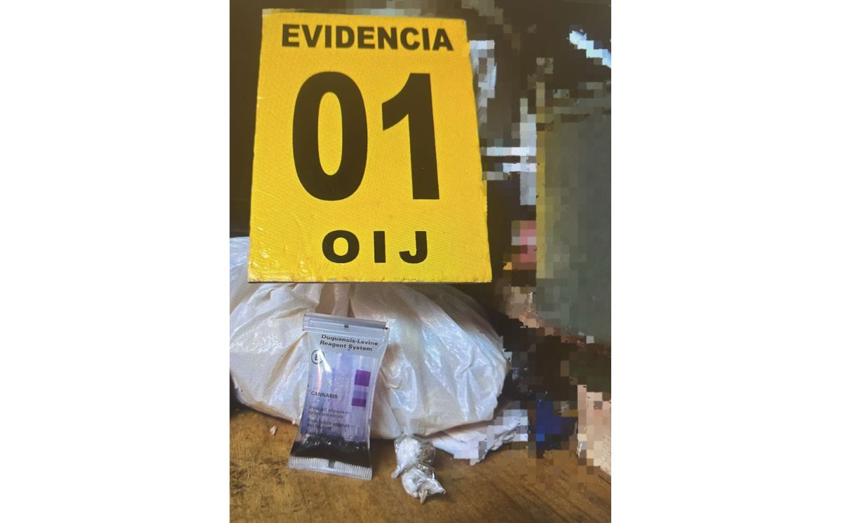 Evidencia decomisada por los agentes judiciales. (OIJ)