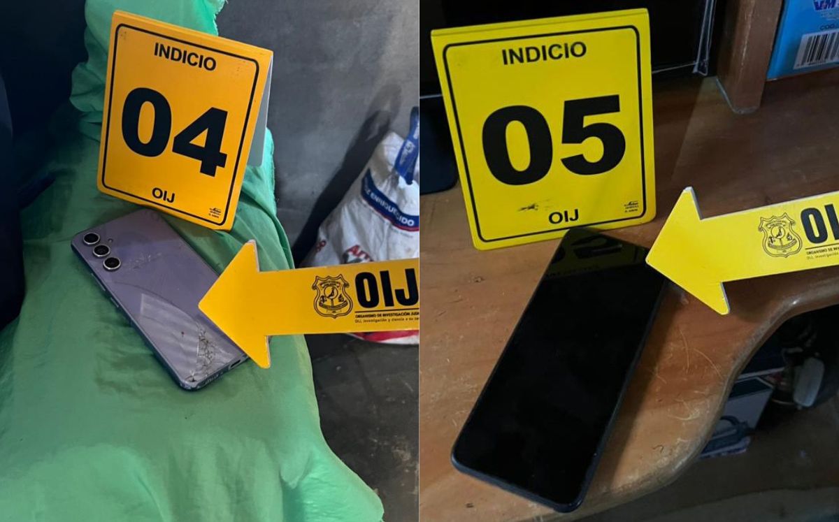 Decomisos realizados por los agentes judiciales. (OIJ)