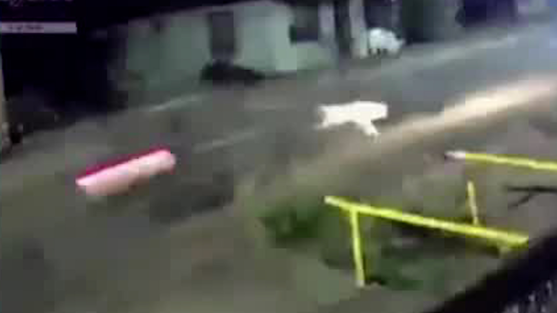 Motociclista sufre accidente de tránsito en Osa | VIDEO