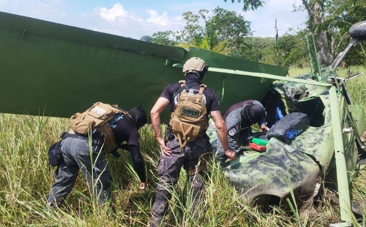 Decomisan avioneta narco y 205 paquetes de cocaína tras operativo en Zona Sur