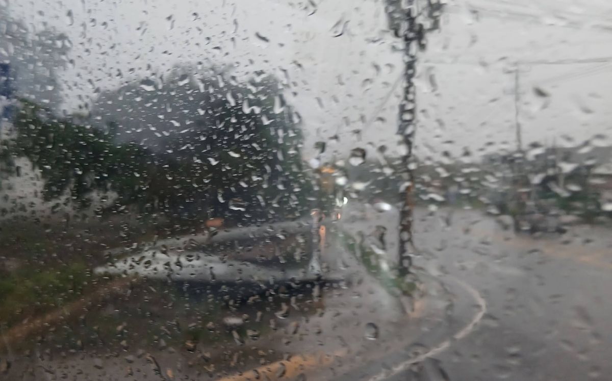 Lluvias y fuertes vientos provocan caída de árboles, rótulos y hundimiento en varias zonas del país