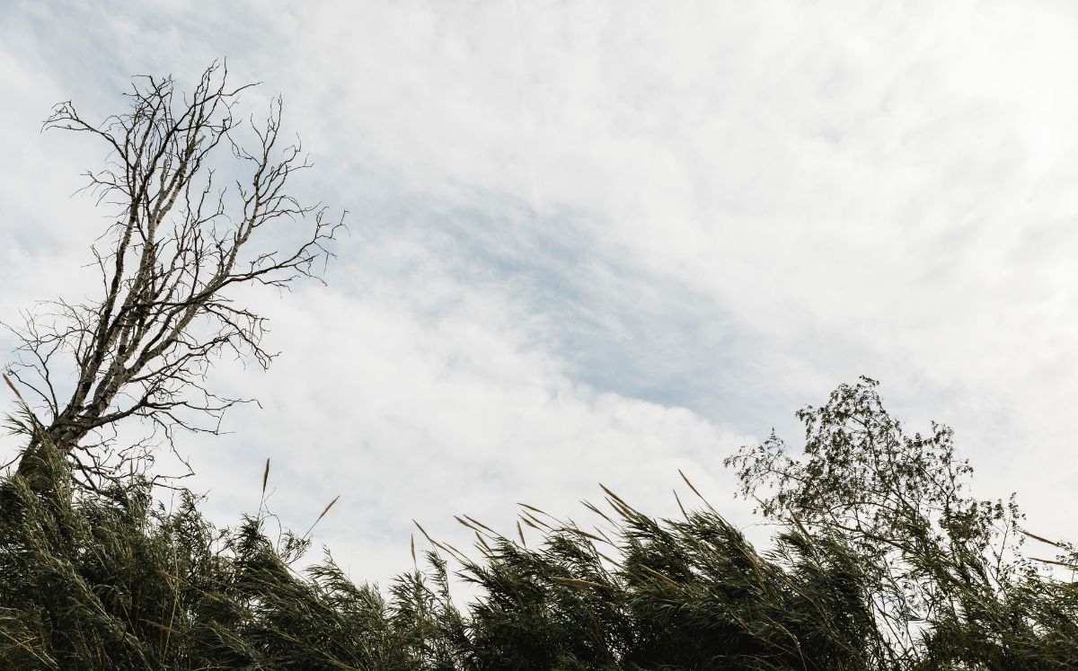 Aumento de humedad provocará lluvias y tormentas aisladas este lunes en el país.