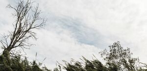 Aumento de humedad provocará lluvias y tormentas aisladas este lunes en el país.