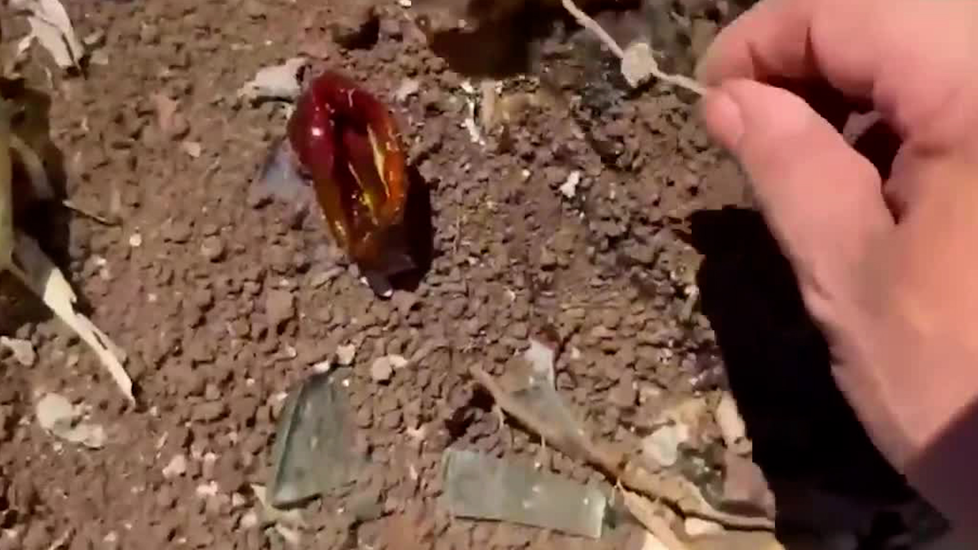 Detector de metales halla supuestos entierros en brujería