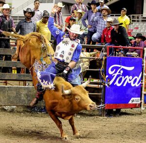 Competidores de siete países se medirán en rodeo estilo americano.