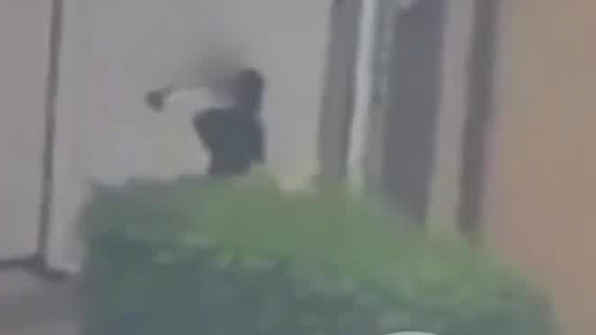 Captan a mujer vandalizando vivienda en Cartago | VIDEO