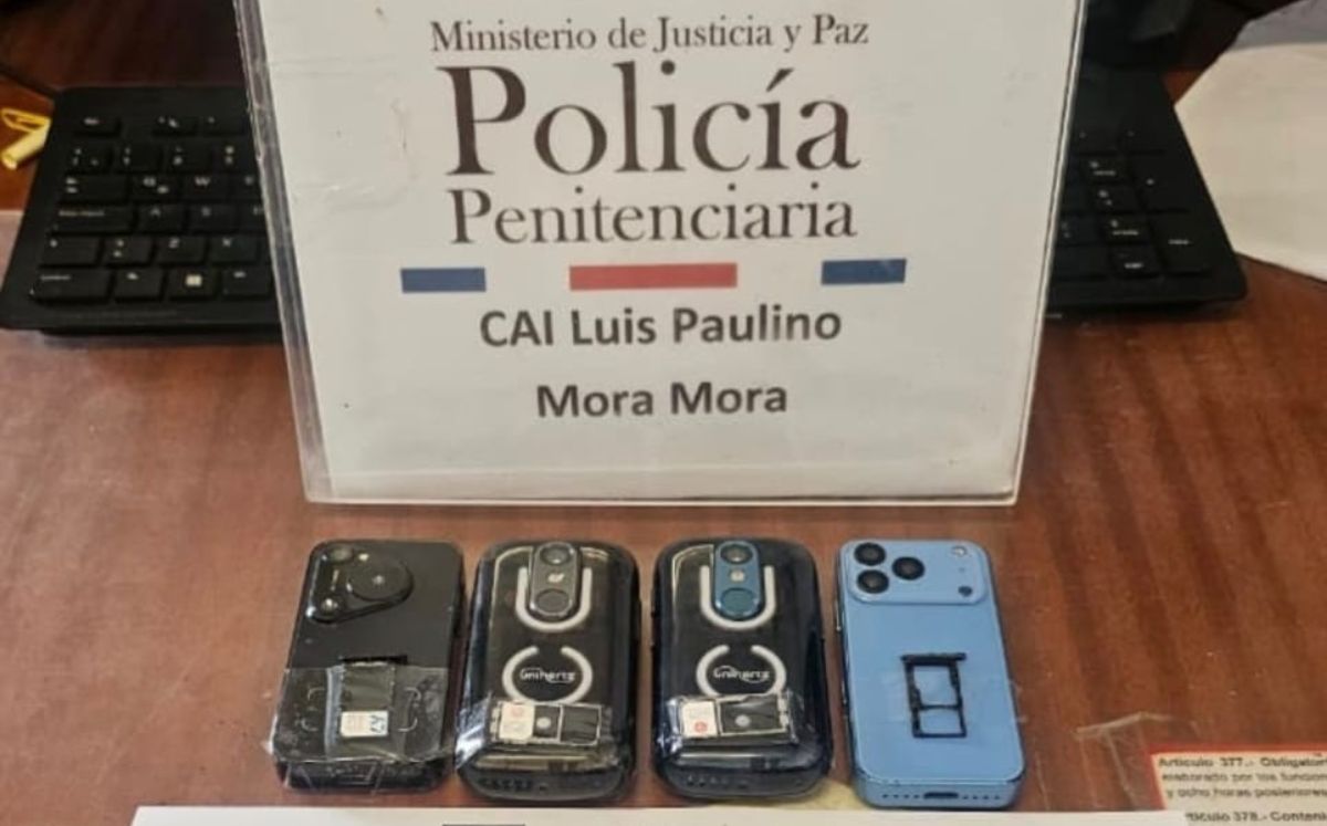 Celulares y chips decomisados por las autoridades.