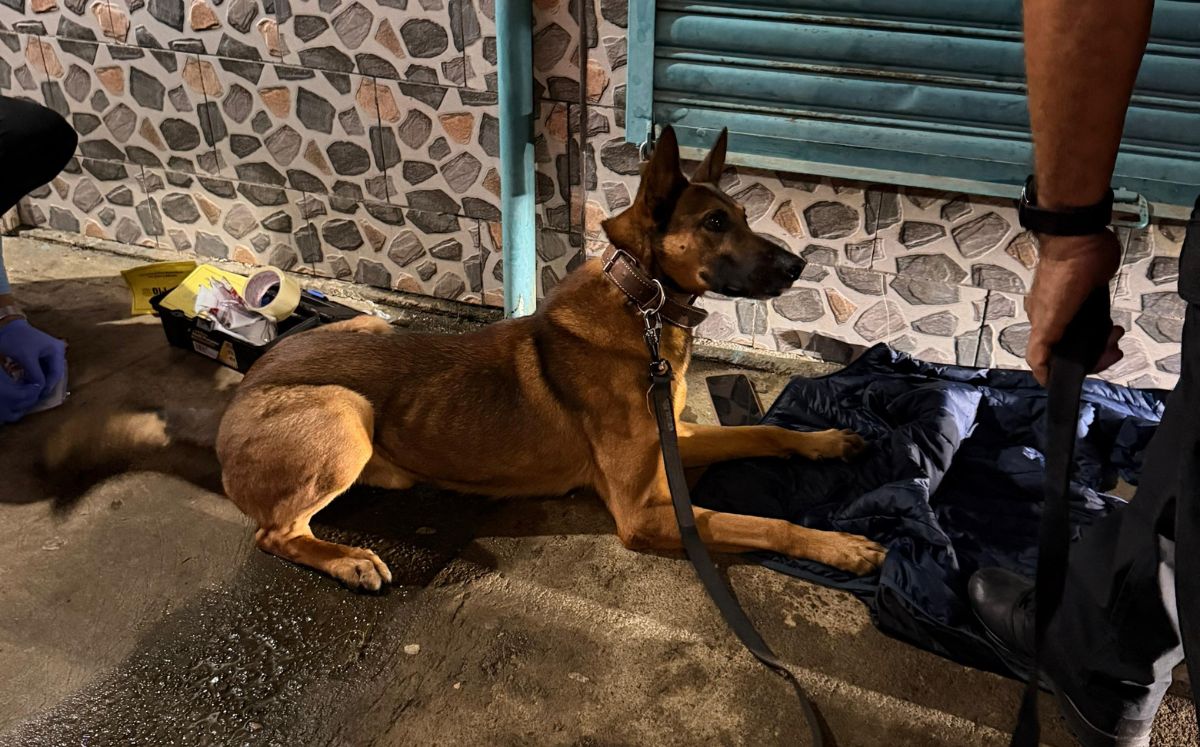 El operativo fue realizado por agentes del OIJ de San Carlos.