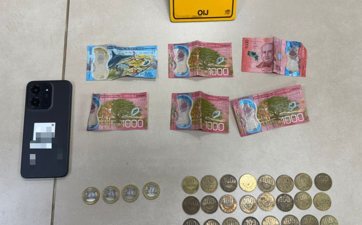 Decomisos realizados durante las autoridades. (OIJ)