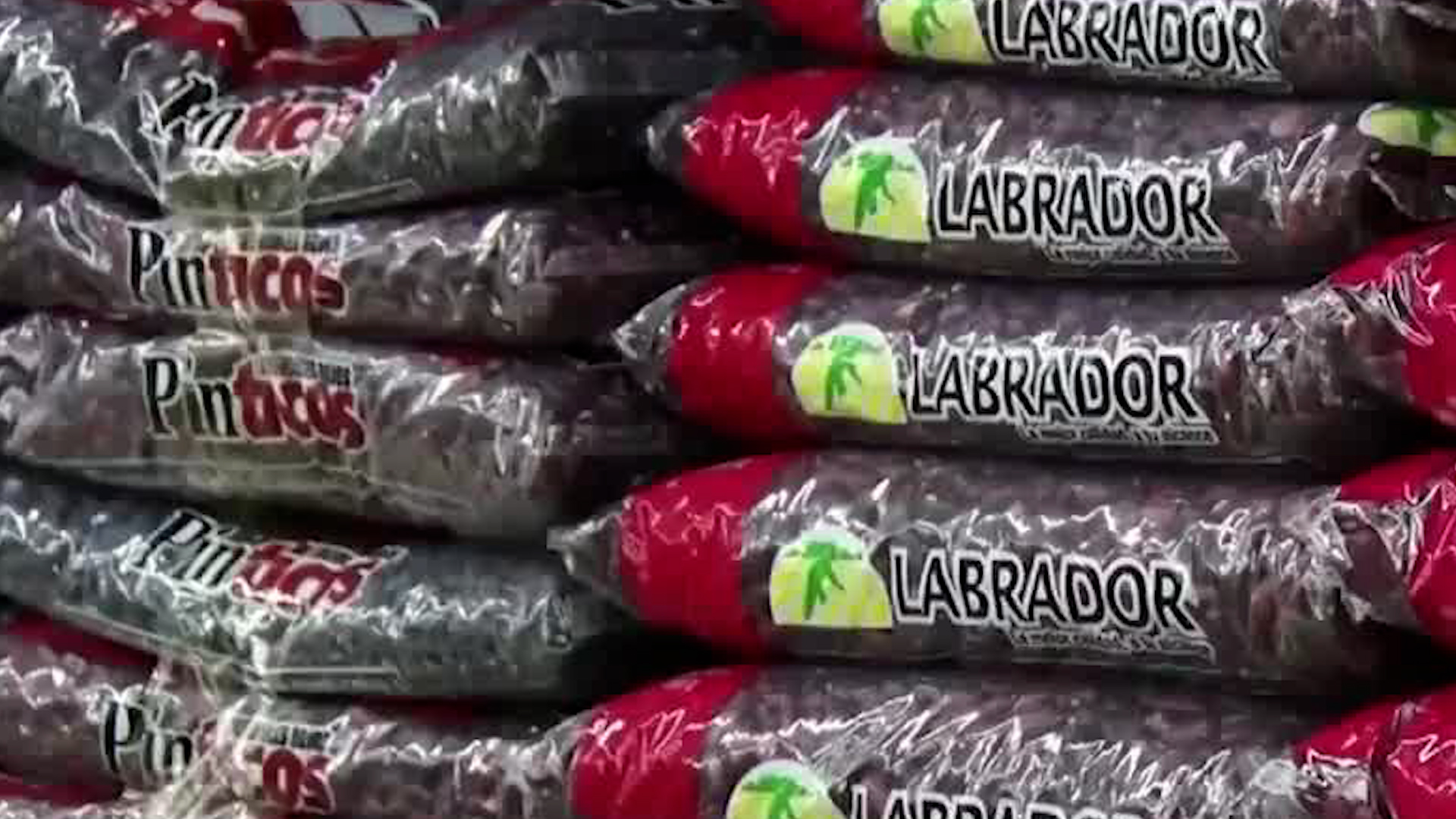 Costa Rica consume solo 20% del frijol que produce