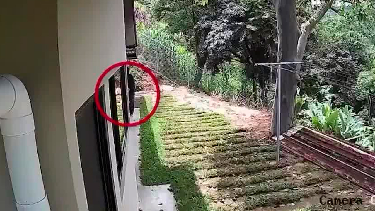 Denuncias por robo y hurto aumentaron