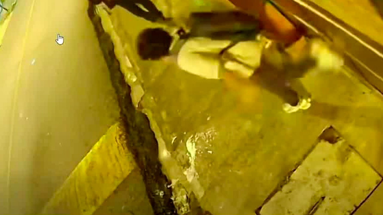 Captan a menores dañando cochera a patadas en Goicoechea | VIDEO