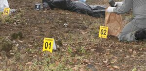 Agentes del OIJ realizaron el levantamiento del cuerpo en Limón 2000.