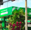 PLN podría quedar fuera de las elecciones 2026