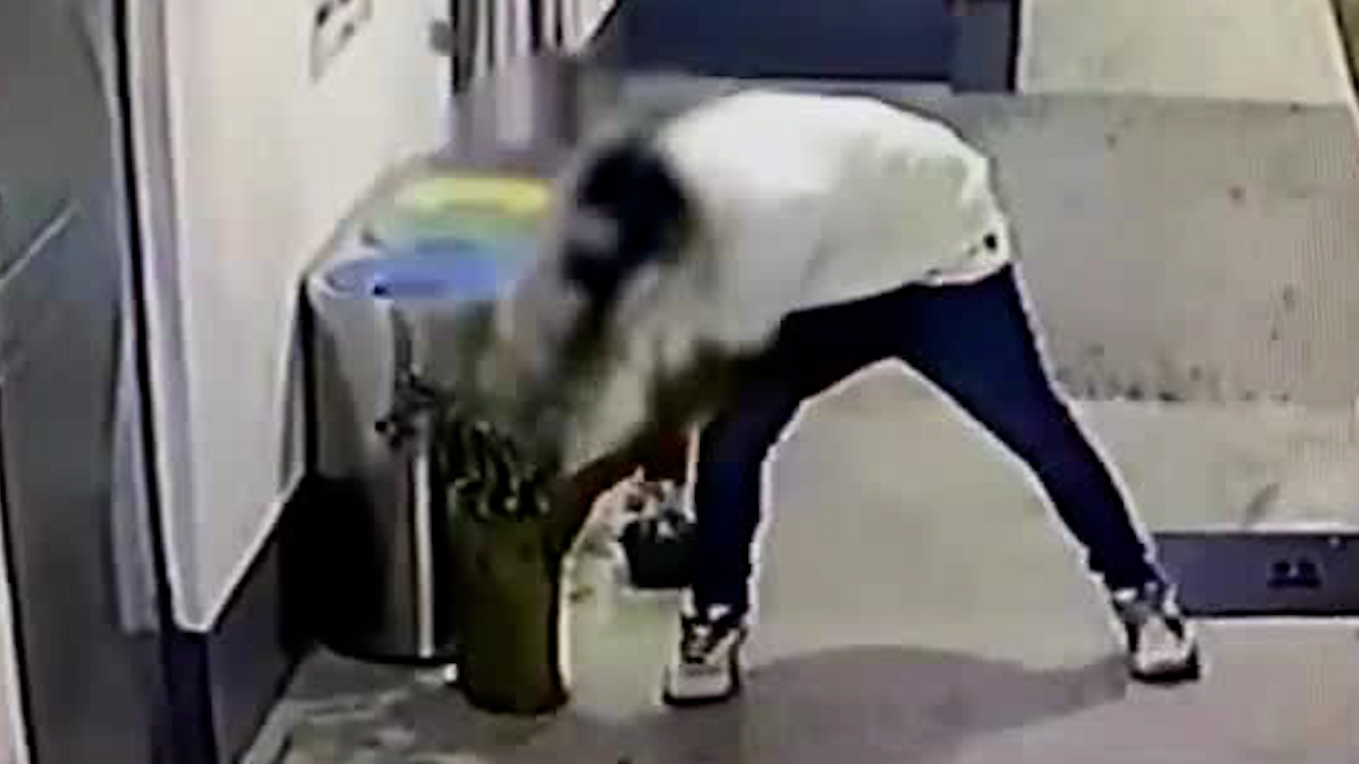 “Roba macetas” atacan en gasolinera