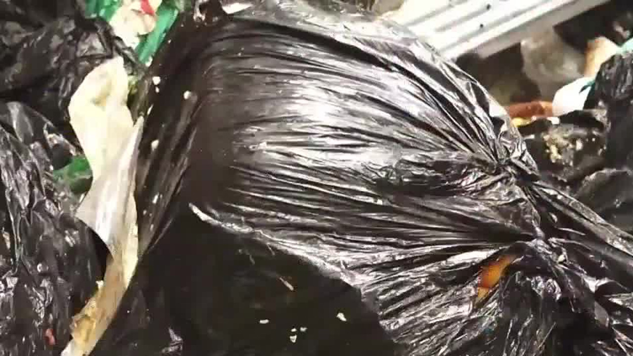 Turrialba impulsa reciclaje y educación