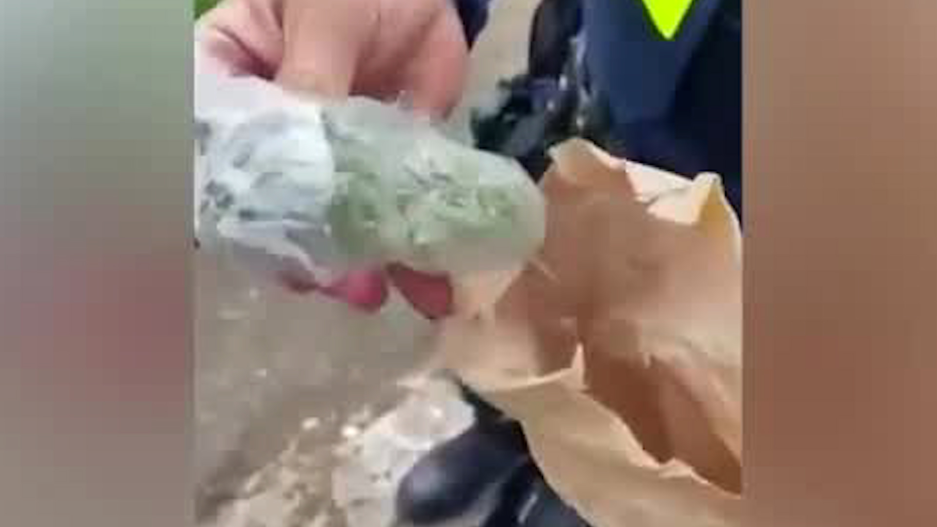 Perro policía detectó droga oculta bajo el vehículo