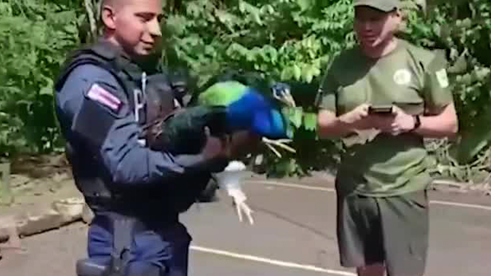 Tráfico de aves sigue generando preocupación