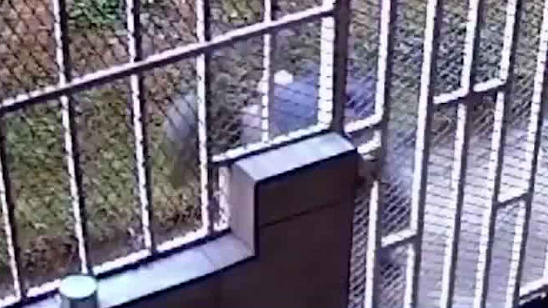 Vecinos denuncian robo de medidores de agua en Goicoechea | VIDEO