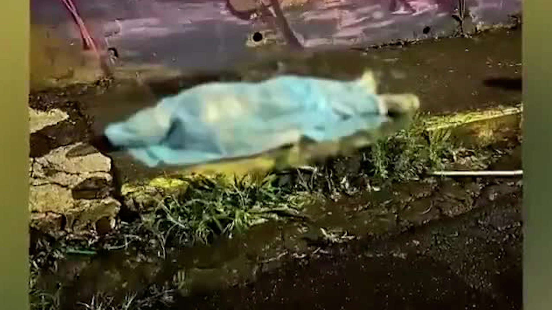 Dos hombres asesinados y cinco heridos en las últimas horas