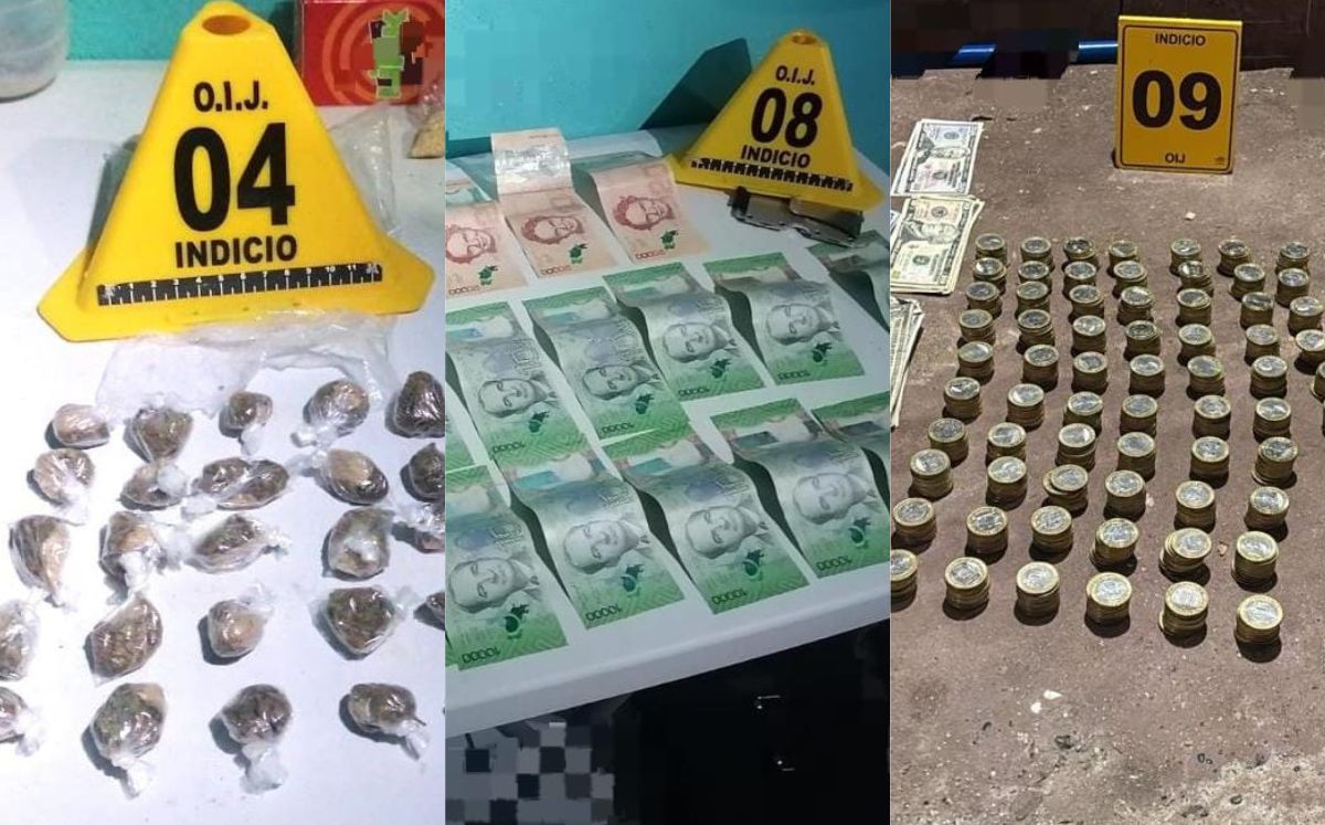 Evidencia decomisada por los agentes judiciales. (OIJ)