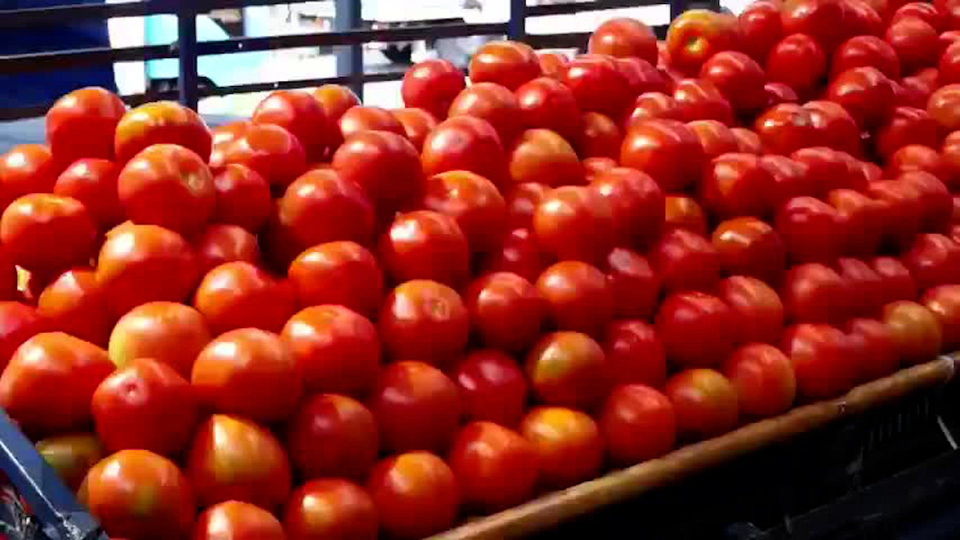Precio del tomate con variaciones