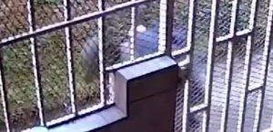 Vecinos denuncian robo de medidores de agua en Goicoechea | VIDEO