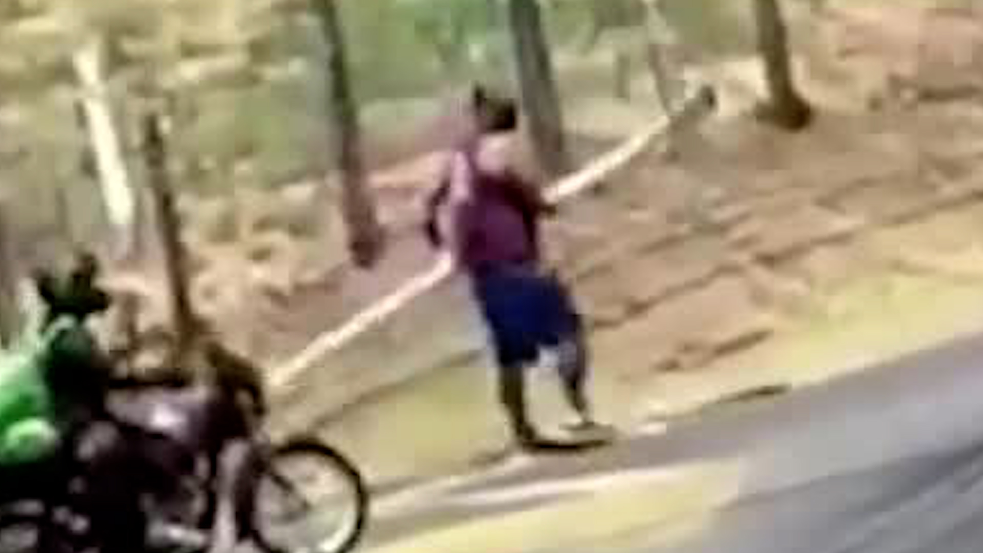 Señal de ‘Alto’ es robada en minutos de Heredia | VIDEO