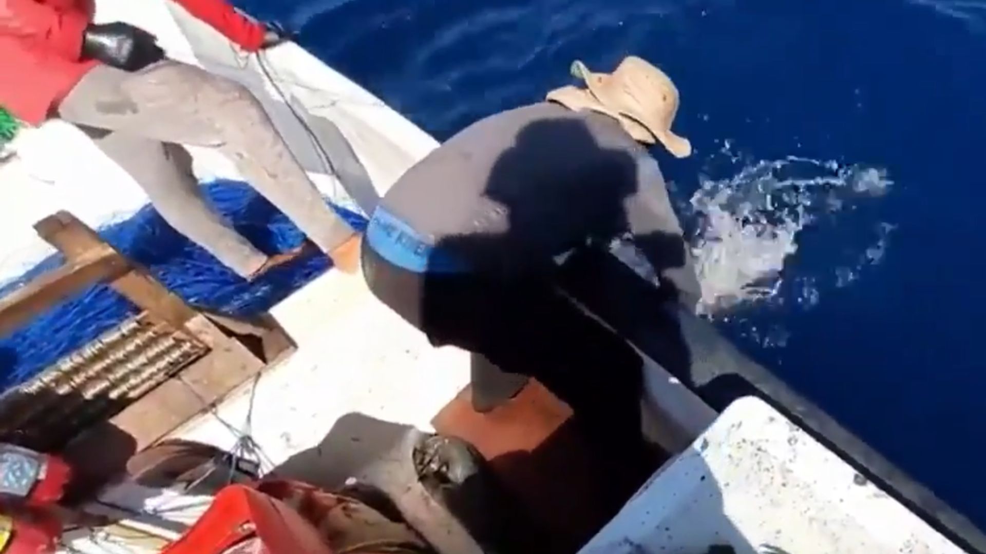 Pesca ilegal genera alerta en Pacífico Sur