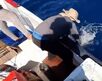 Pesca ilegal genera alerta en Pacífico Sur
