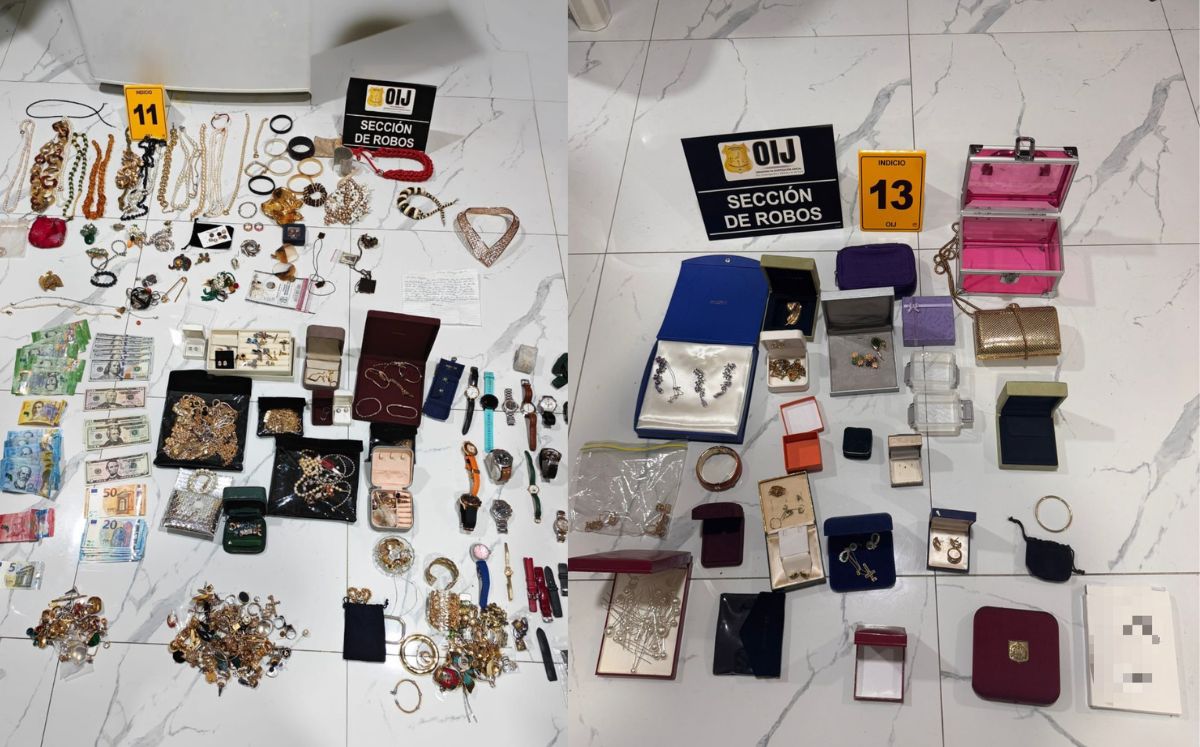Evidencias decomisadas por los agentes judiciales. (OIJ)